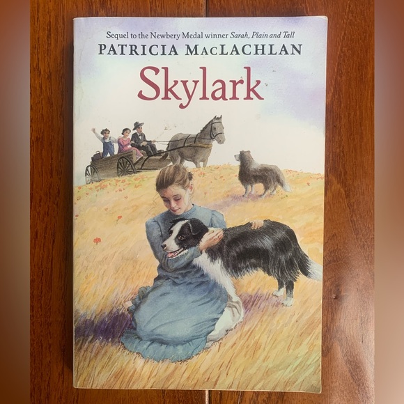SARAH PLAIN AND TALL, SKYLARK, CALEB'S STORY Patricia MacLachlan Lot of 3 - Picture 4 of 9